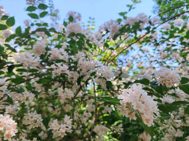 公園-圖片來源編輯網(wǎng)