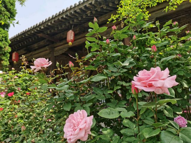 圖片來(lái)源